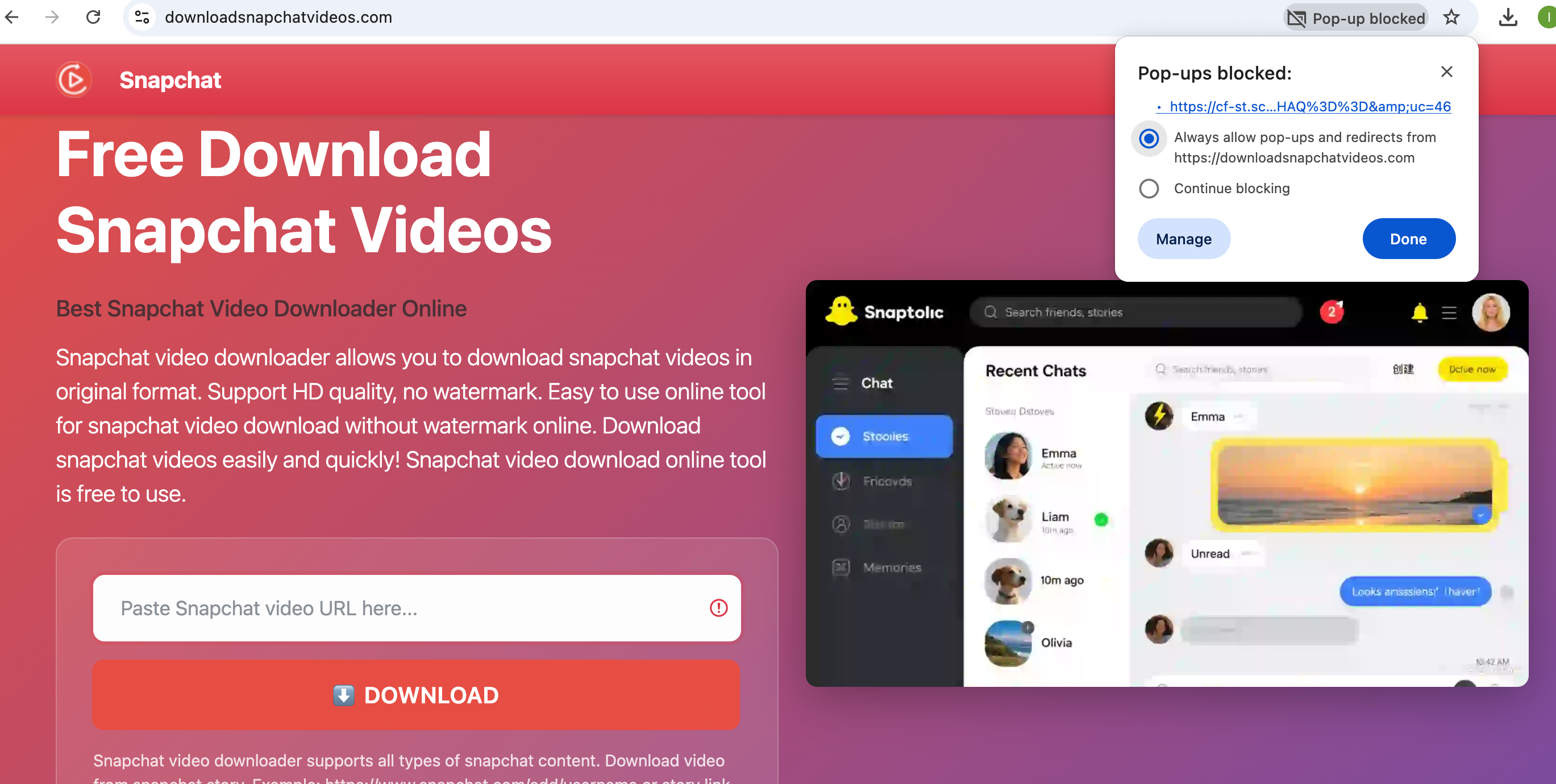 Step 3: Allow browser pop-ups